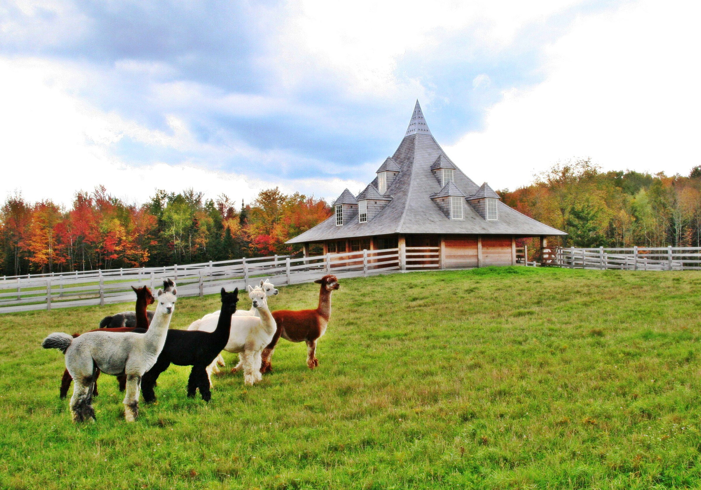 C-Pagliaro-Architects---Quebec-Retreat-(3)_web